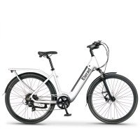 28 Zoll E-City Trekkingrad 700C — 43.2V 13Ah Akku, 250W Motor