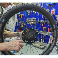 Sicherheitscheck & Wartung