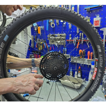 Sicherheitscheck & Wartung