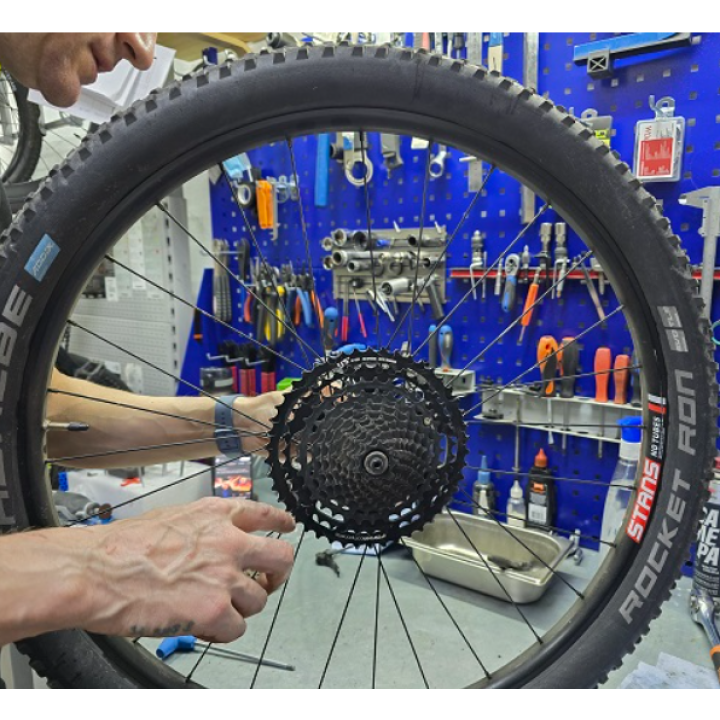 Sicherheitscheck & Wartung