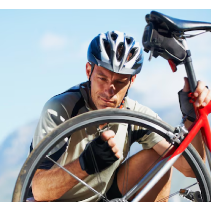 Kleine Inspektion & Diagnose