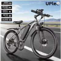 Elektro fahrrad  26", E-Bike mit 36V 10ah Wechsel batterie, 7-Gang, Citybike mit 250W Motor, Reichweite bis zu 45-km