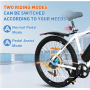 Elektro fahrrad  26", E-Bike mit 36V 15ah Wechsel batterie, 7-Gang, Citybike mit 250W Motor, Reichweite bis zu 45-km